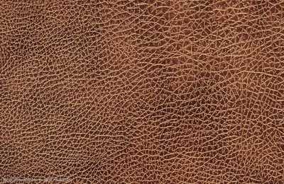 皮革貼圖 虛擬與現(xiàn)實的藝術(shù)融合